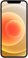 Apple iPhone 12 15.5 cm (6.1